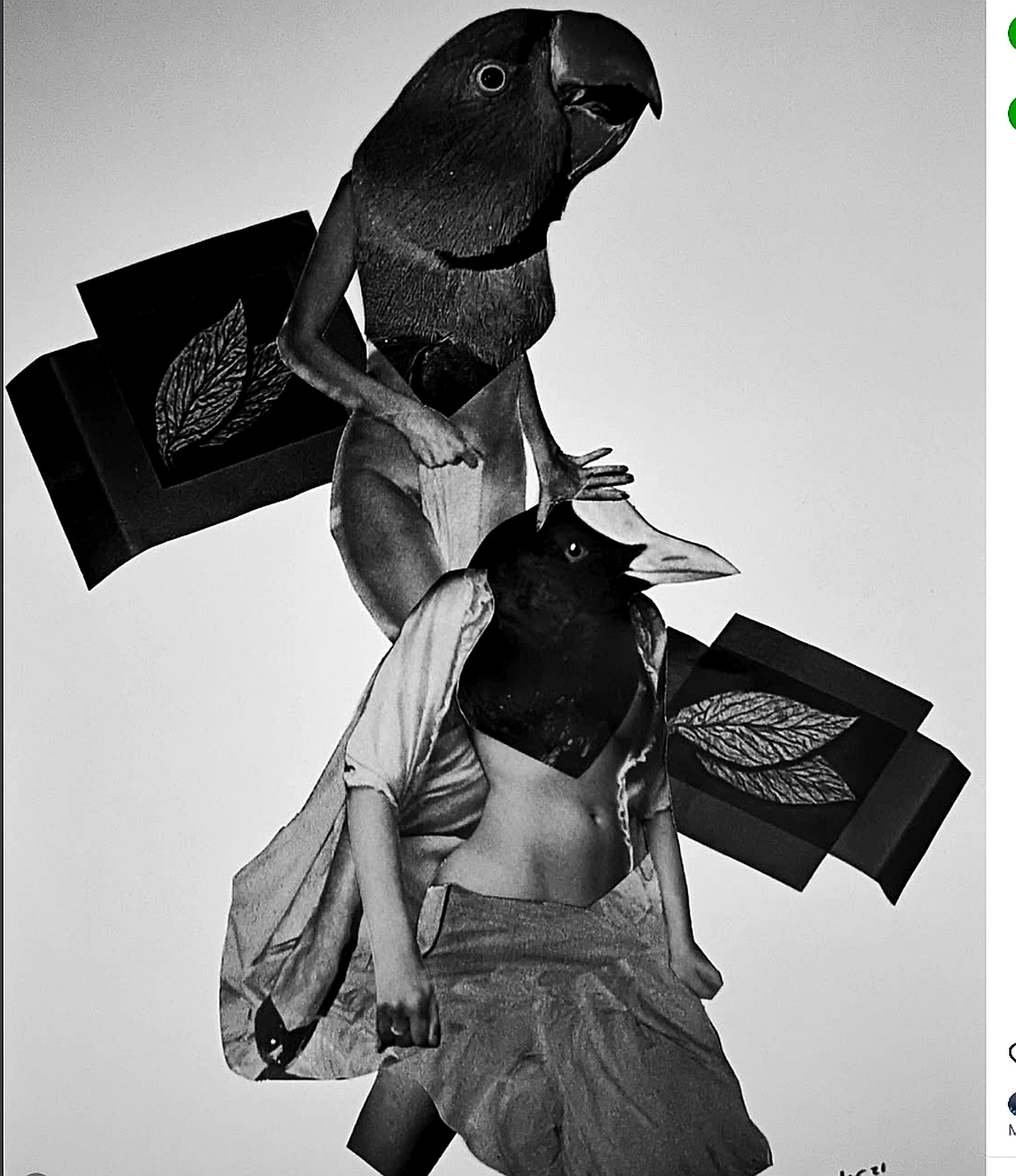 Chris Adams — photographic collage